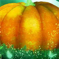 Free online flash games - Halloween Pumpkin Hidden Spots game - Games2Dress 