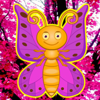 Free online flash games - Hidden Butterfly game - Games2Dress 