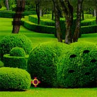 MirchiGames Green Garden Escape