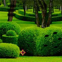 Free online flash games - MirchiGames Green Garden Escape game - Games2Dress 