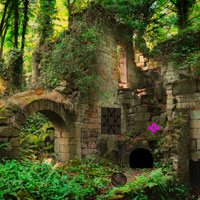 Demolished Forest Fort Escape Games2rule