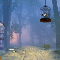 GamesClicker Toucan Rescue From Cage