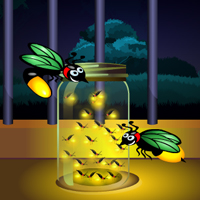 Hidden Fireflies