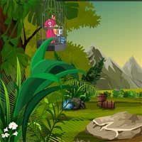 Free online flash games - KnfGame Rescue Red Macaw Bird game - Games2Dress 