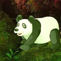 Free online flash games - Giant Panda Forest Escape game - Games2Dress 