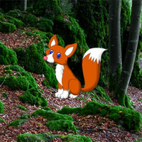 Free online flash games - Hidden Forest Escape game - Games2Dress 