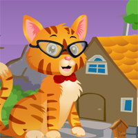 Cute Hipster Cat Rescue