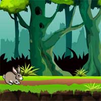 Free online flash games - Games4Escape Forest Little Bunny Rescue game - Games2Dress 