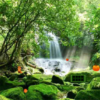 CrazeInGames The Forest Escape