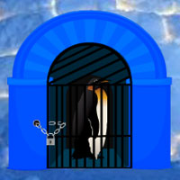 Free online flash games - Escape Game Save the Penguin Wowescape game - Games2Dress 