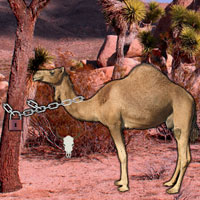 Free online flash games - Arabian Desert Escape game - Games2Dress 