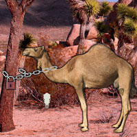 Free online flash games - Arabian Desert Escape game - WowEscape