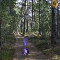 EscapeFan Mysterious Password Forest Escape 3