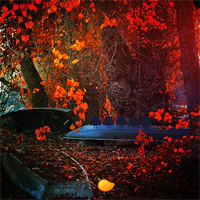 Mirchi Games Red Autumn Forest