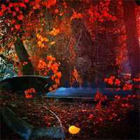 Free online flash games - Mirchi Games Red Autumn Forest game - Games2Dress 