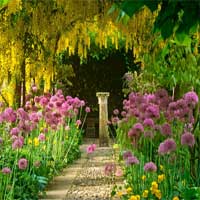 KnfGame Escape From the Flower Garden