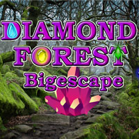 Free online flash games - Diamond Forest Bigescape game - Games2Dress 