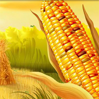 Free online flash games - HOG Hidden Corn Grasshopper game - Games2Dress 