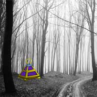 ZoooGames Zooo Swarthy Forest Escape
