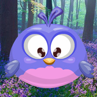 Free online flash games - Hidden Angry Birds game - Games2Dress 