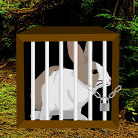Free online flash games - Rain Forest Rabbit Escape game - Games2Dress 