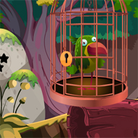 Avm Rescue Adventure Bird From Cage