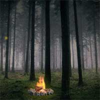 Free online flash games - FreeRoomEscape Mysterious Foggy Forest Escape game - Games2Dress 