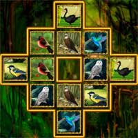 Free online flash games - Birds Card Match game - Games2Dress 