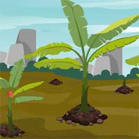 Free online flash games - ZooZooGames Banana Grove Escape game - Games2Dress 