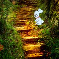 Free online flash games - MirchiGames Raccoon Forest game - WowEscape