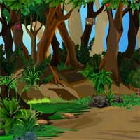 KnfGame Rescue the Lion From Forest Cave