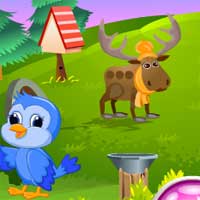 Free online flash games - Games4King Blue Sparrow Rescue game - Games2Dress 