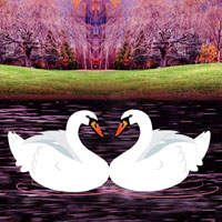 Free online flash games - Escape Game Save the Swan game - Games2Dress 