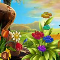Free online flash games - 8BGames Macaw Escape game - Games2Dress 