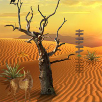Free online flash games - 5NGames Can You Escape The Desert game - Games2Dress 