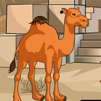 Games2Jolly Camel Escape From Desert