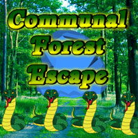 Communal Forest Escape Games2rule