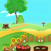Free online flash games - ZooZooGames Farm Lee Escape game - Games2Dress 