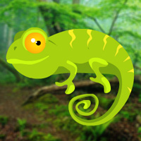 Free online flash games - HiddenoGames Hidden Chameleons game - Games2Dress 